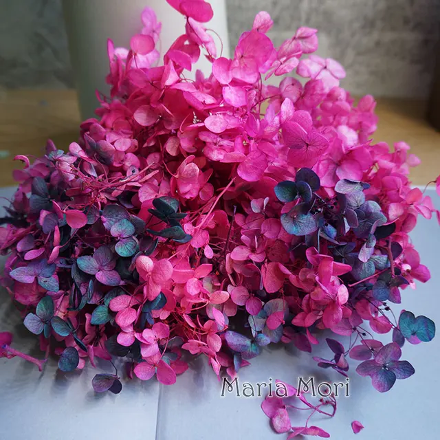 Anna Hydrangea  Flowers  Little  Leaves Preserved Hydrangea Decor  Office Decor  DIY Flowers Gradient colour 20