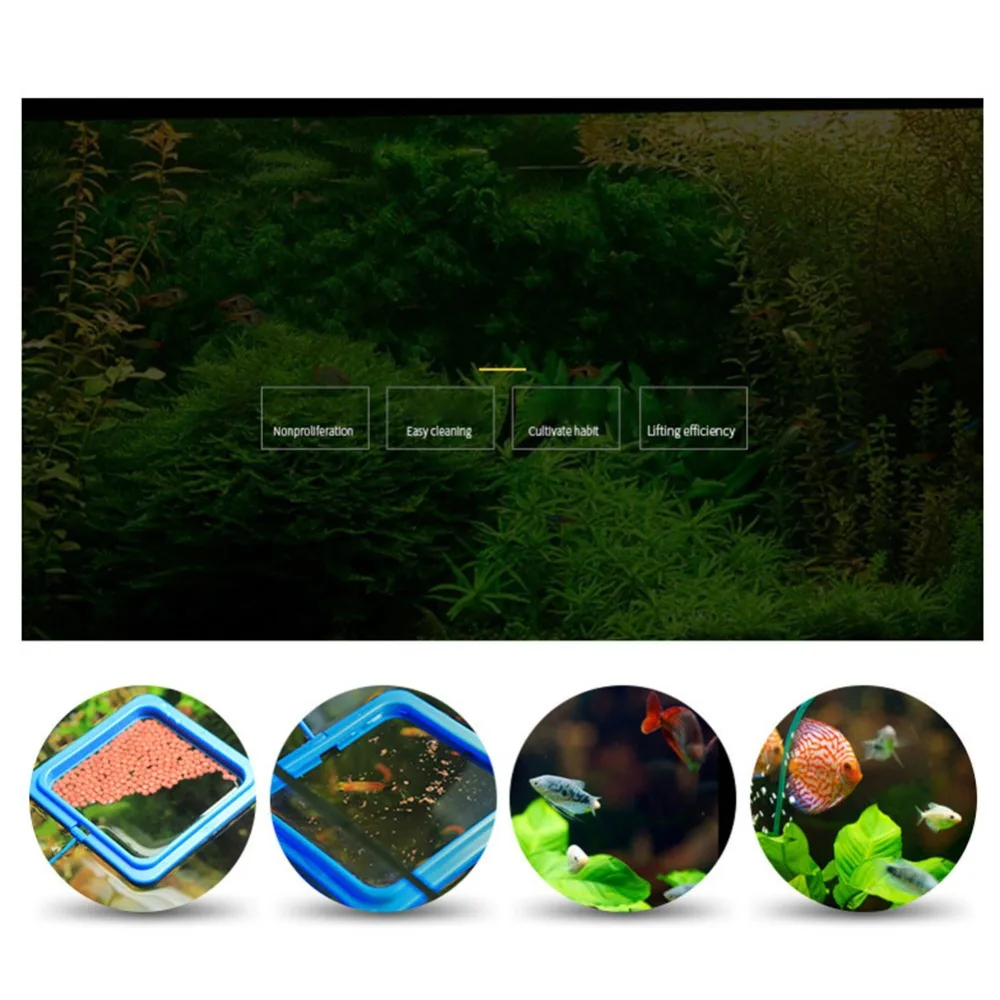 306574_no-logo_306574-1-12-g