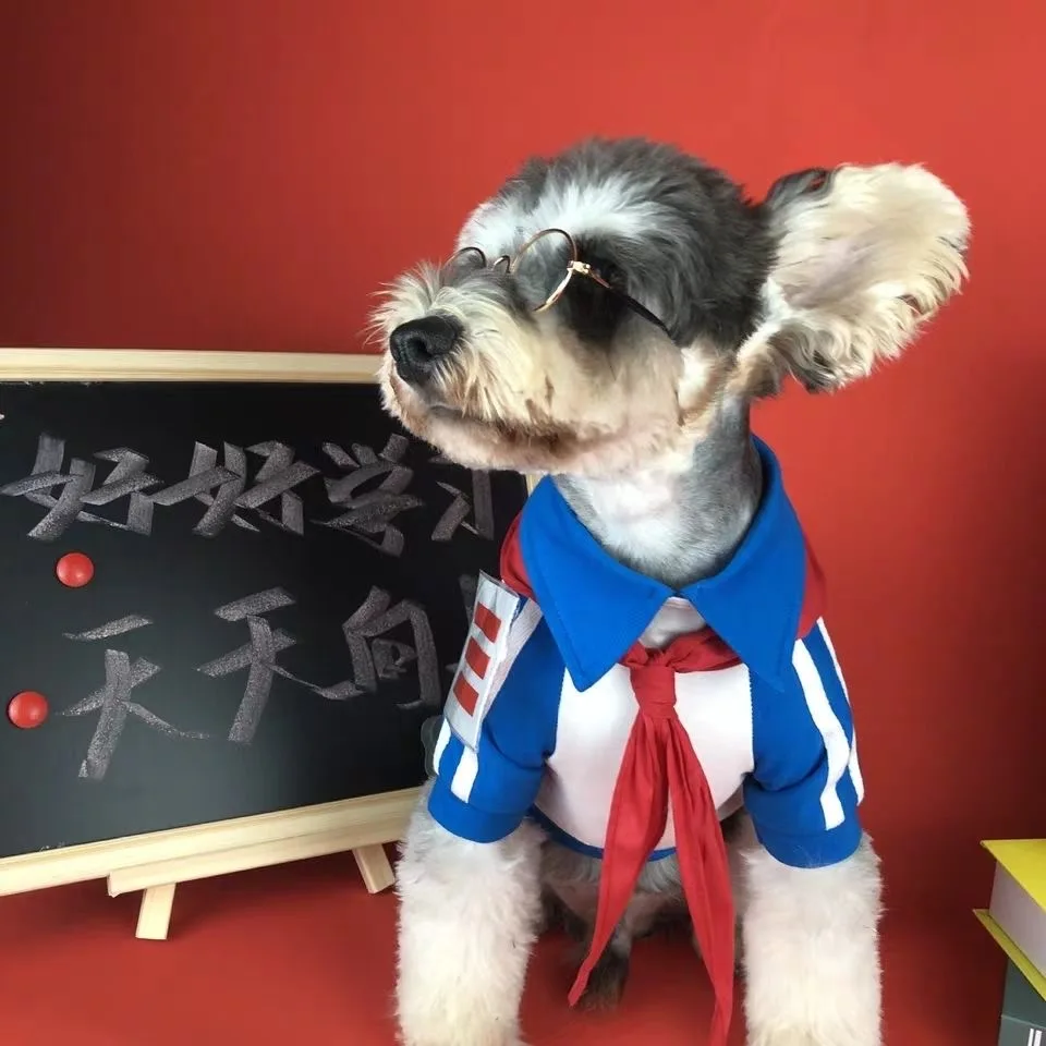 

Hot Dog Clothes Spring Red Summer Spoof School Uniform Schnauzer Bomei Cat Teddy Sweater Jacket Pet Clothes for Small Medium Dog