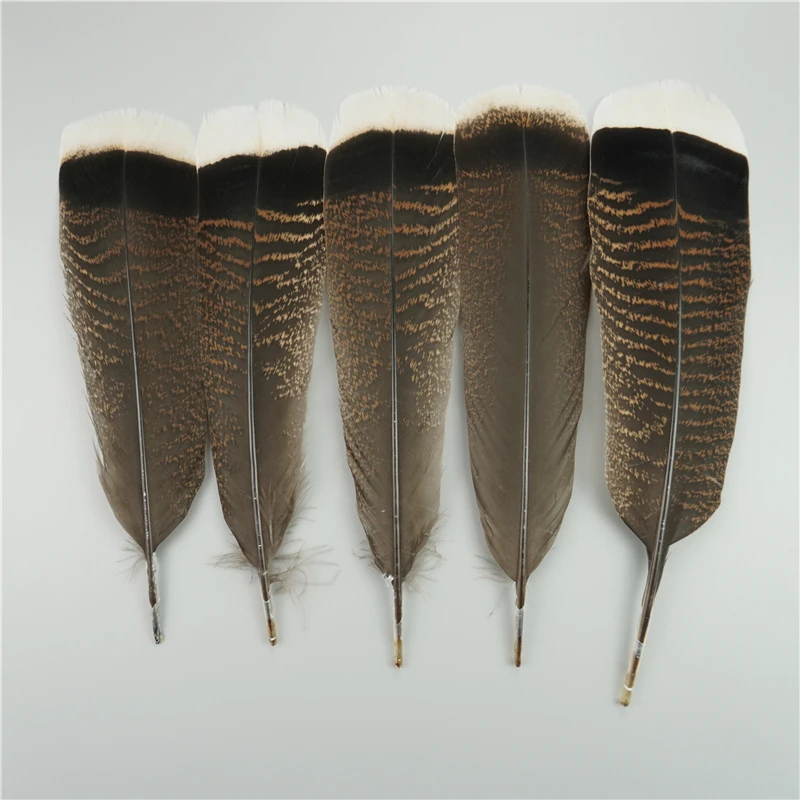 Natural Eagle Feathers 10Pcs/Lot For Crafts Plume Headdress Accessories Holiday Decoration Carnival Feather DIY Handicraft Decor