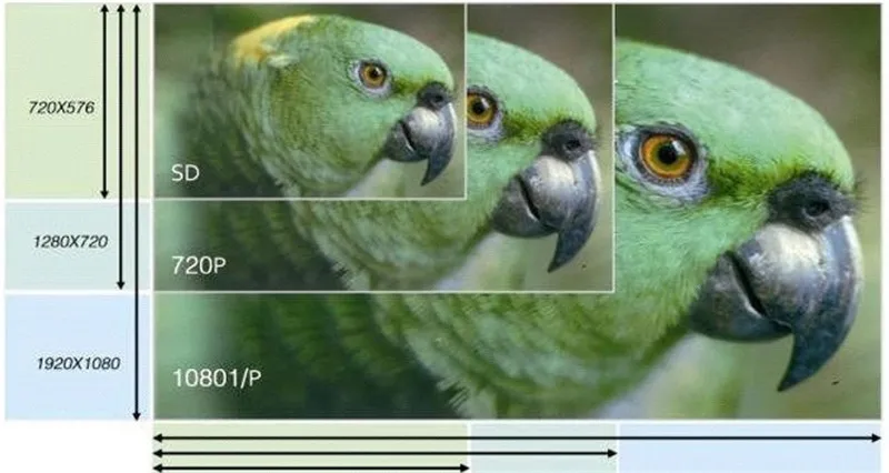 3E69D578-18A7-4509-88C2-19360D6D6A0B