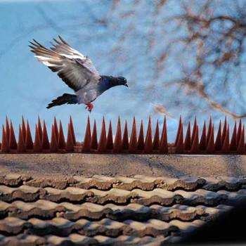 

Bird and Pigeon Spikes Anti Bird Anti Pigeon Spike Getting Rid of Pigeons and Scare Birds