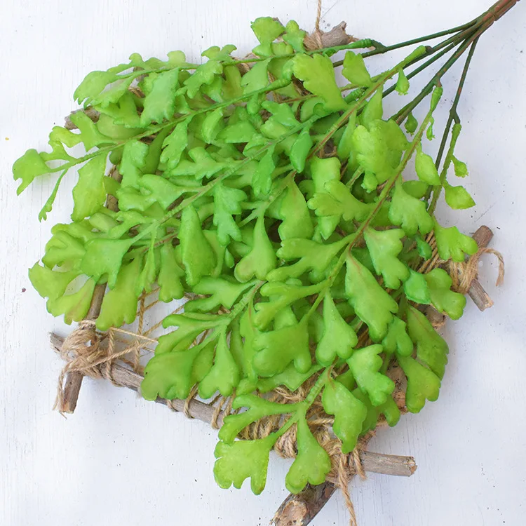 

Spray Color Green Plant Platycerium Soft Silcone Handfeel Adiantum Plant Wall with Wood Model Persian Fern Aquatic Plants Plasti