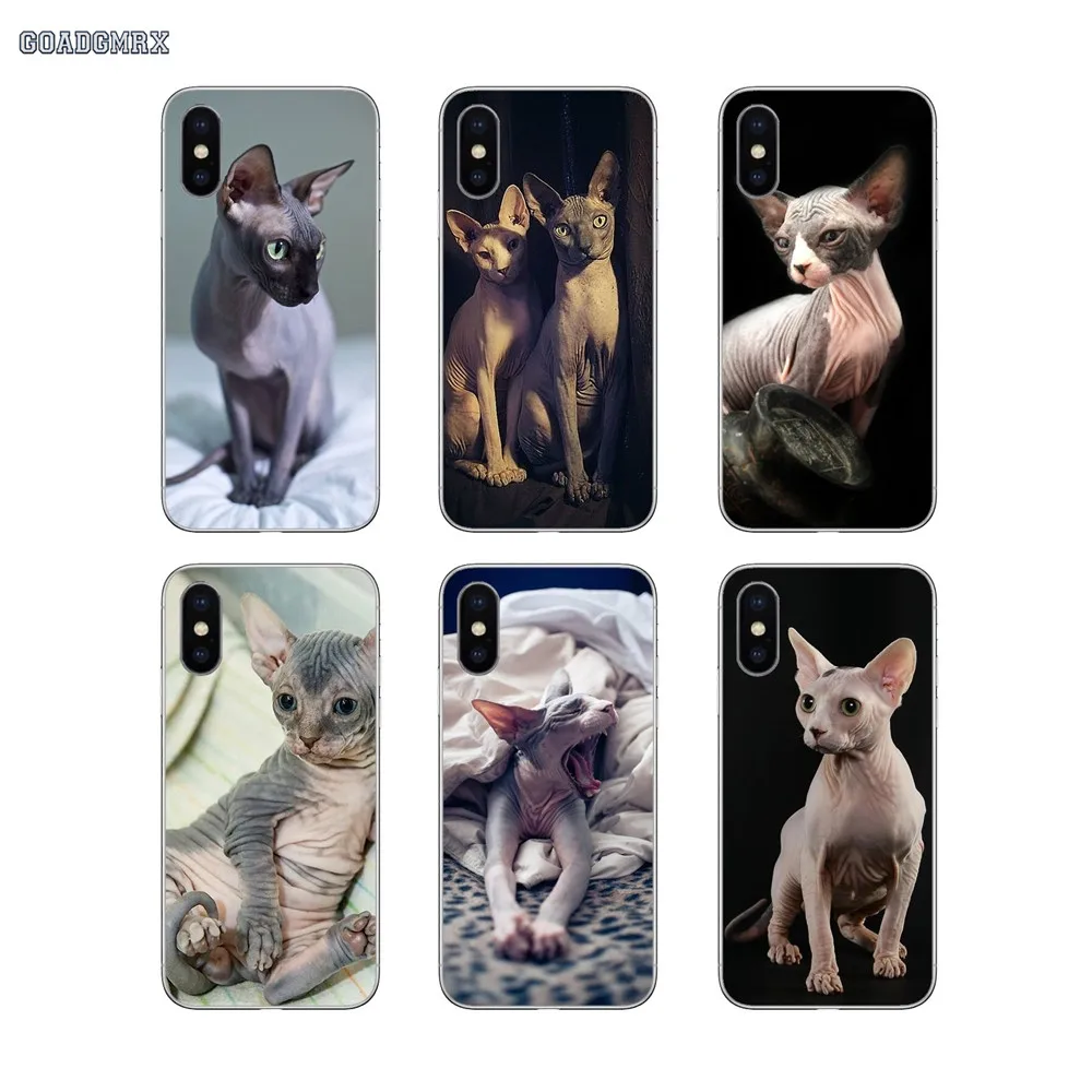 Sphynx Cat Luxury Cover For iPhone 11 X XR XS Pro MAX 4 4S 5 5S SE 5C 6 6S 7 8 Plus Transparent Soft Shell Covers | Мобильные