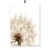 Canvas Painting Bunny Tail Grass Reed Dandelion Flower Wall Art  Nordic Posters PrintsWall decoration frame for living room 10
