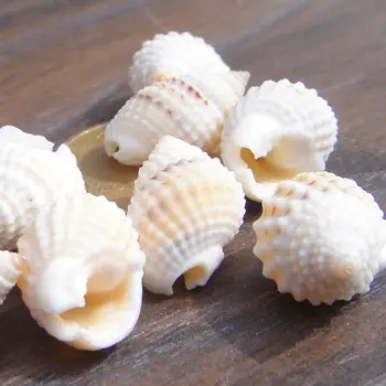 

Small conch cream Nassarius about 1.5cm colored wheat spiral floor aquarium wedding arrangements