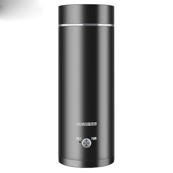 

Portable Travel Electric Water Kettle Mini Thermos Smart Teapot Heating Cup Milk Boiling Boiler Stainless Steel Metal Warmer