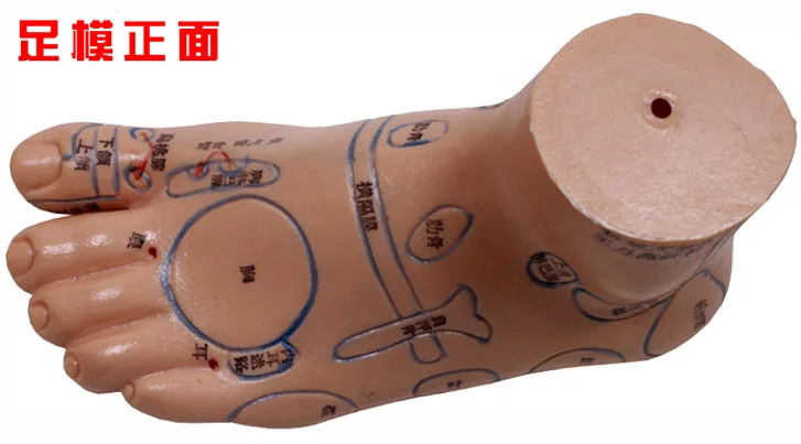 

New Style Type According to Type Person Department Acupuncture on Body Friction yi mo Cavity Body Size Moxibustion Mode 1 Feet F