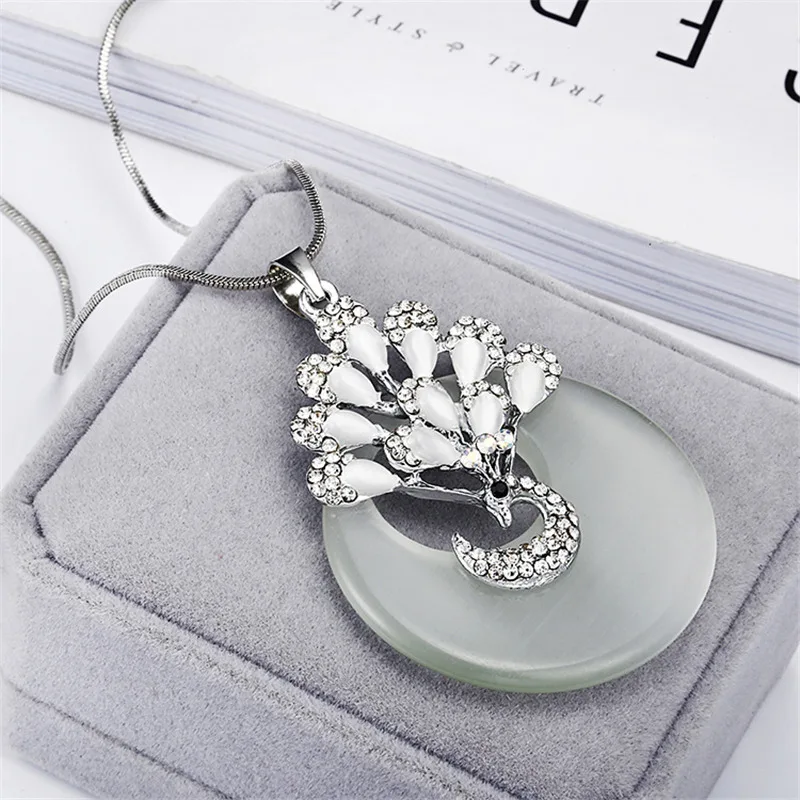 9032571709_1605554919