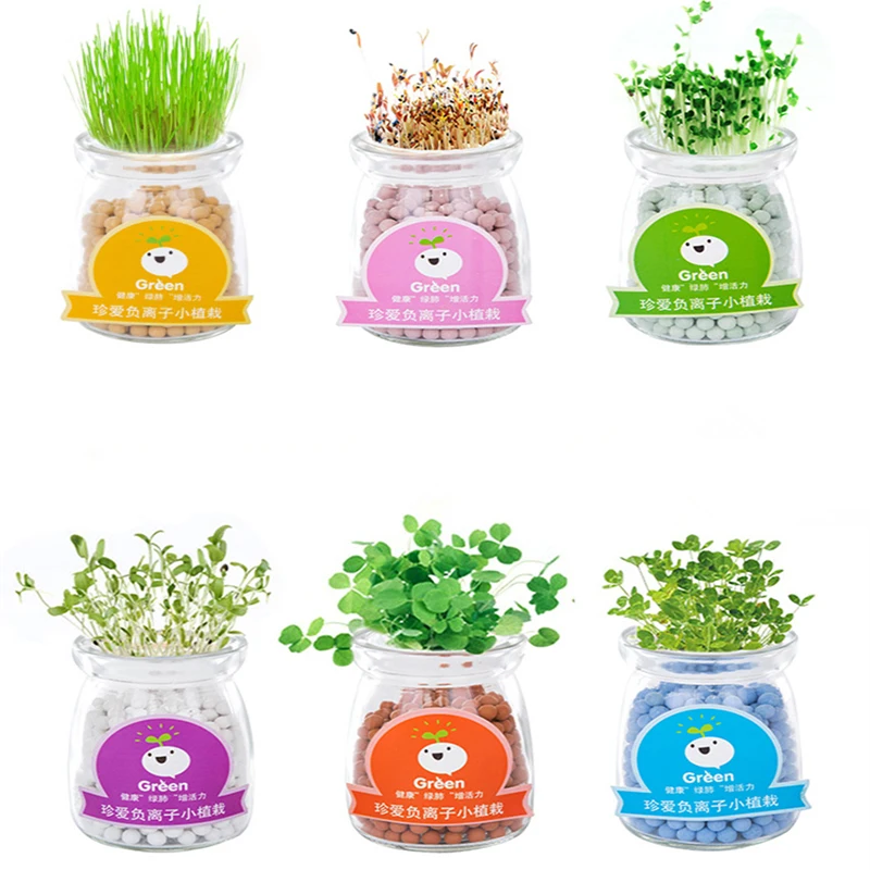 

Anion Planted Mini Negative ion potted plant Hydroponic plant DIY Office Desk Decoration Lucky Grass Green plant Drop shipping