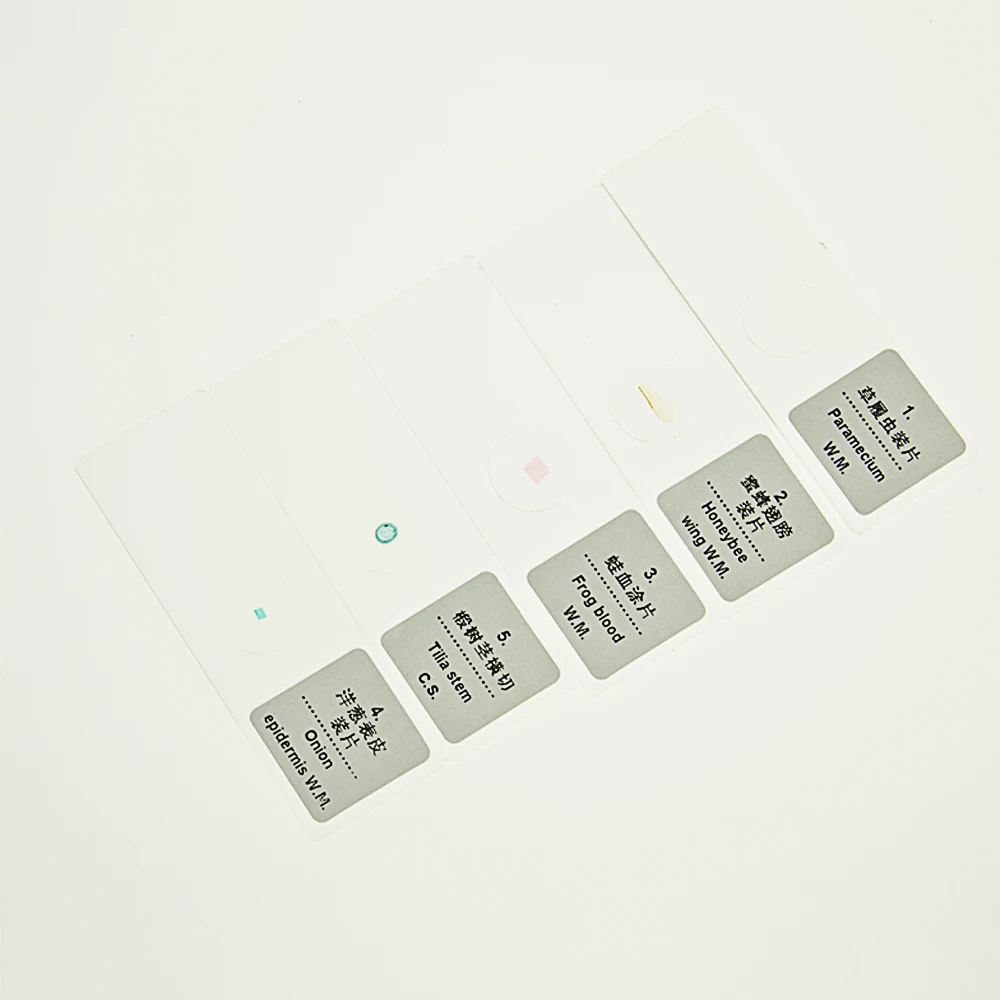 EYSDON 5 PCS Prepared Microscope Glass Slides Biological Sliced for Enlightenment Education for Students' Scientific Exploration
