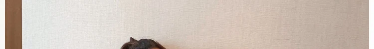 Трикотажные пуловеры в полоску для беременных женщин; большие размеры; Асимметричные хлопковые свитера с разрезом; Длинные свободные Модные топы для беременных; повседневные футболки