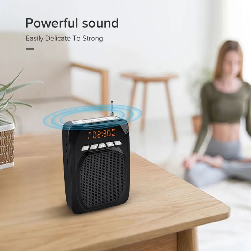 Портативный Bluetooth голосовой усилитель проводной микрофон большая мощность