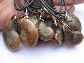 

Natural jade snail fossil ammonite fossil pendulous spotted snail