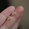 Stud Earring