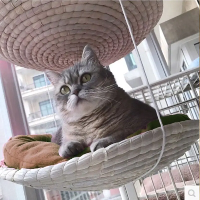 

Cat Hammock Bed Pet Cage Hanging Bed for Cats/Small Dogs/Rabbits/Other Small
