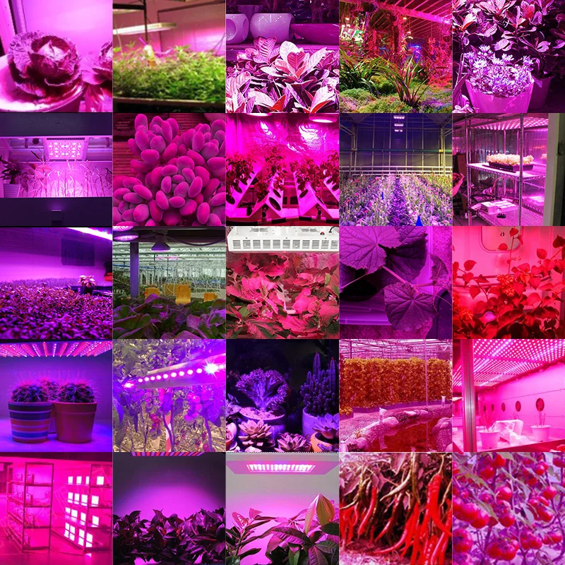 ARKNOAH светодиодный светильник для выращивания, полный спектр, 1000 Вт, двойной чип для комнатных теплиц, лампа для выращивания растений, овощей и цветов