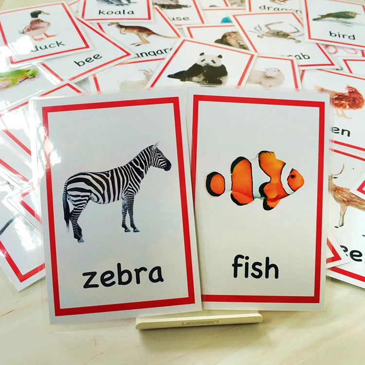 Flash para Crianças Auxiliares de Ensino Inglês Animais Cartões Bebê Crianças Cognitivo Aprendizagem Cartão Palavra Montessori Brinquedos Educativos 72 Pçs 4 Online shopping