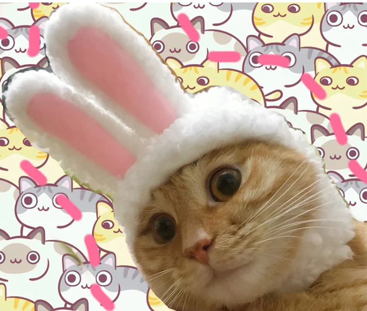 Pet cat cute hood rabbit bunny cap cat headdress Christmas show props pet hat Garfield cat rabbit ears pet supplies