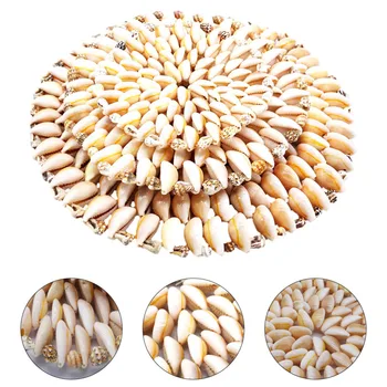 

3pcs Shell Placemat Round Coaster Hot Insulation Pad Tableware Mat Three Sizes