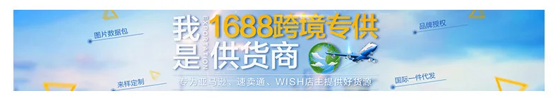 ARC‘TERYX Simulated Dinosaur Models Toy Animal Model Pterosaur C10