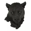 Black leopard head