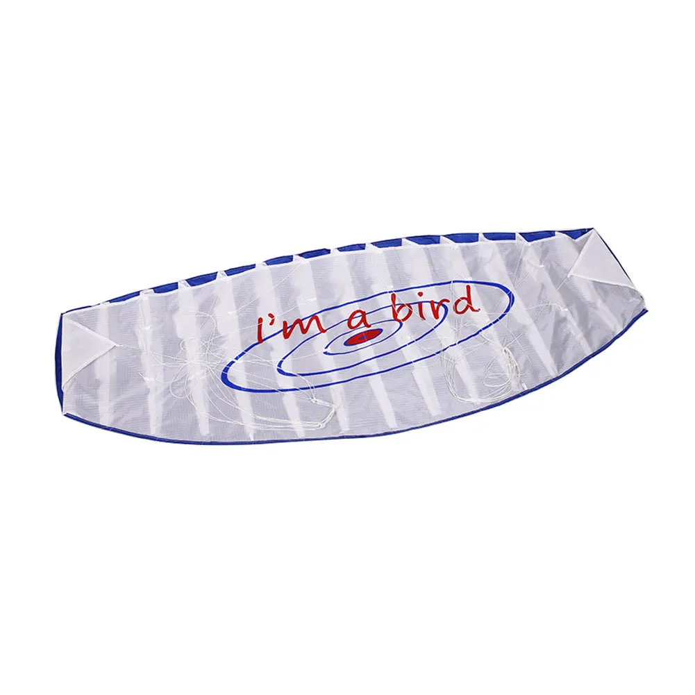 Outdoor Sports Dual Stunt Parafoil Kite Power with Handle 30m Line Beginner