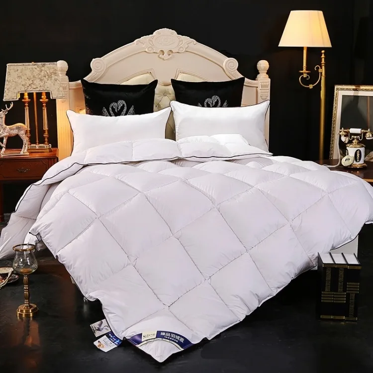 Details about   2021 Cotton Quilt Warm Quilt Core White Velvet Thickened Warm Winter Home 