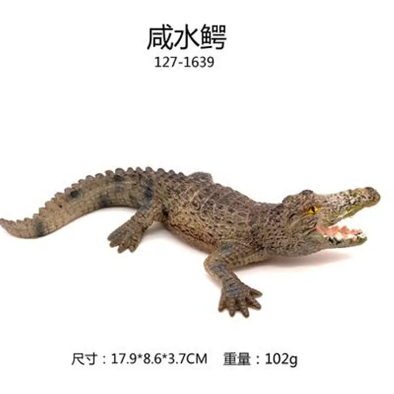 小物 WILD SWANS CROCODILE / NORMA(S) 81fIY0wvRbL._UF894,1000_QL80_.jpg