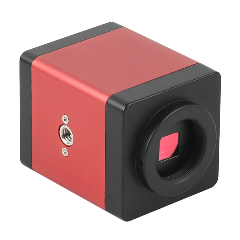 IMG_3446