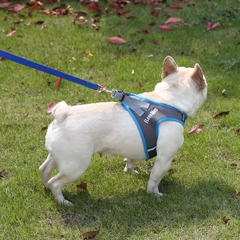 

Summer thin chest strap small and medium-sized dog walking dog rope pet chest strap embroidery leash