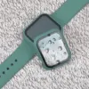 Watch Accessories