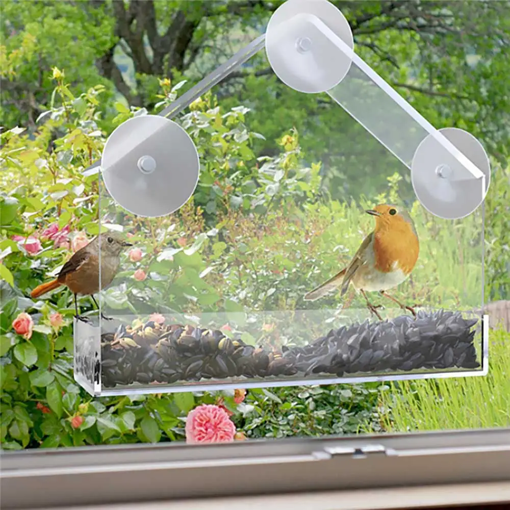 Bird Feeder Wild Table Window Hanging Suction Perspex Clear Viewing Seed Tool 