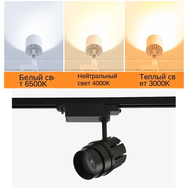 10777457981_50173144