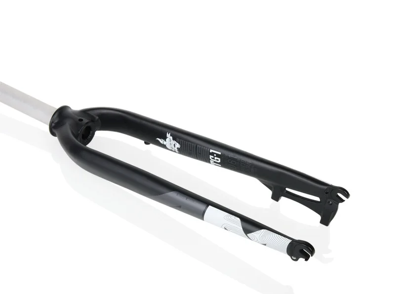 10602796120_1545353168