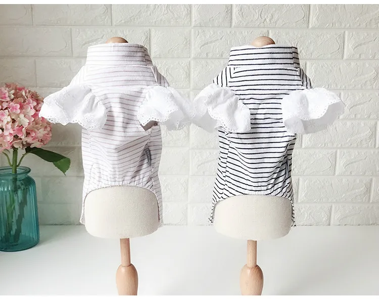 HTB1XF5MKpYqK1RjSZLeq6zXppXaA