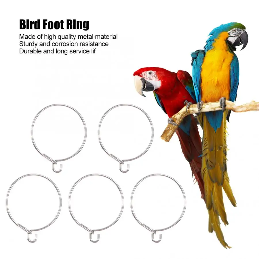 5 шт., высокое качество, прочное металлическое кольцо для тренировки птиц, Аксессуары для ног, принадлежности для клетки, аксессуары для птиц
