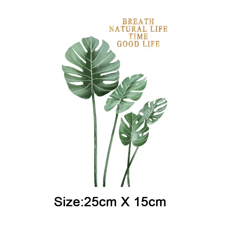 TA2594植物叶子_02