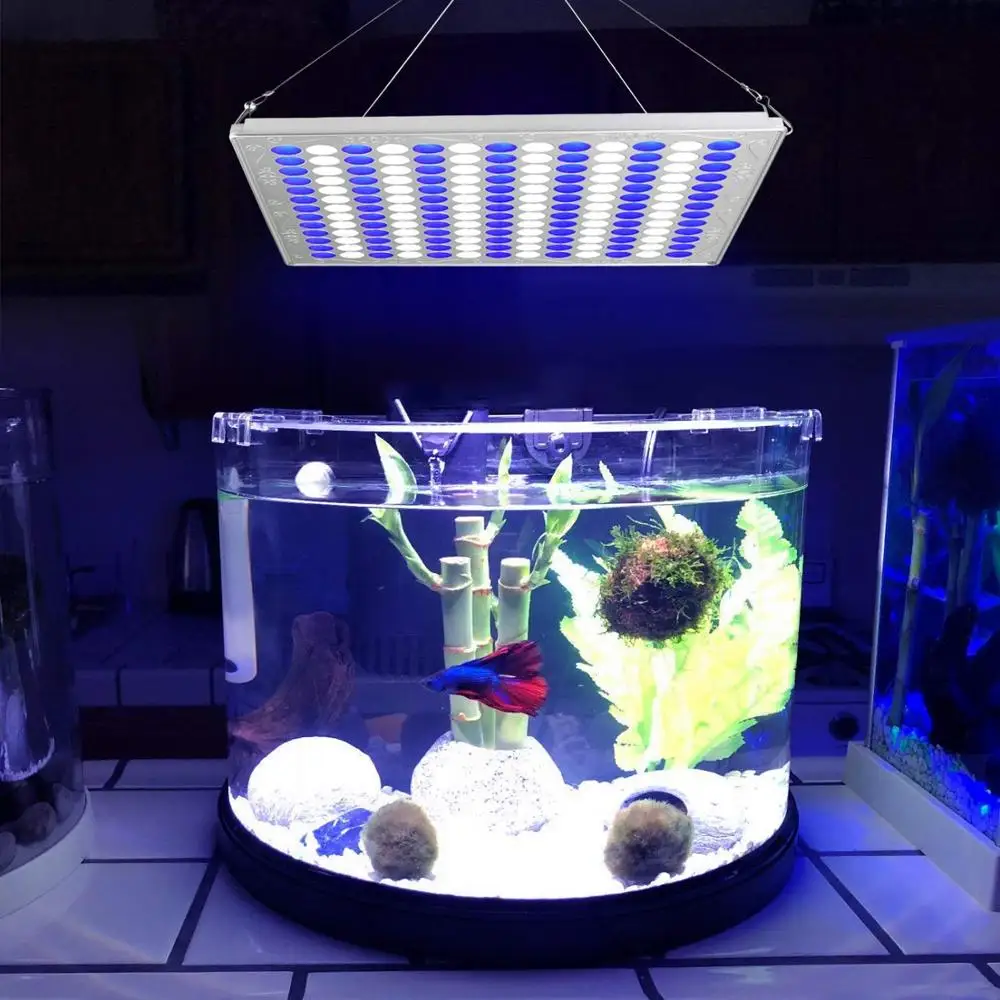 Lampada LED per la crescita di piante e acquari colore: blu/bianco TOPLANET 75 W 91:78