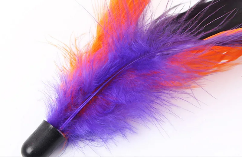 colorful feather toy  cat