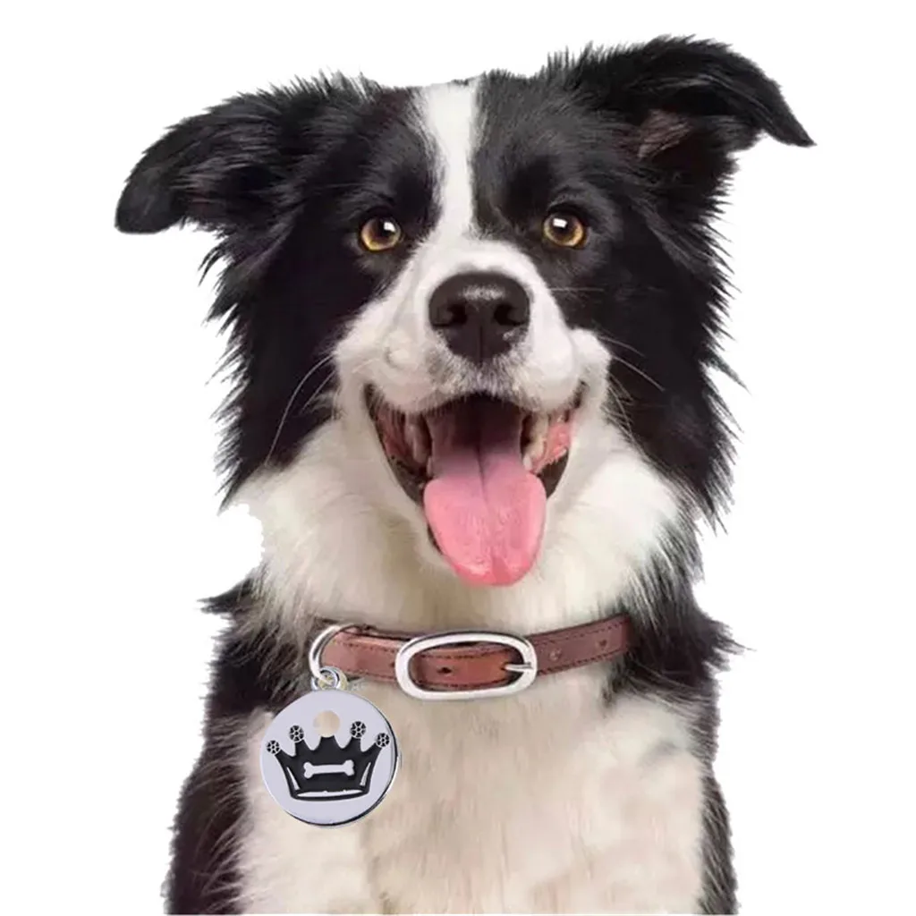 30^Cute Mini More Crown Print Diamond Dog Cat ID Name Tags Pet Jewelry Necklace family product for pet dog leash собачий поводок