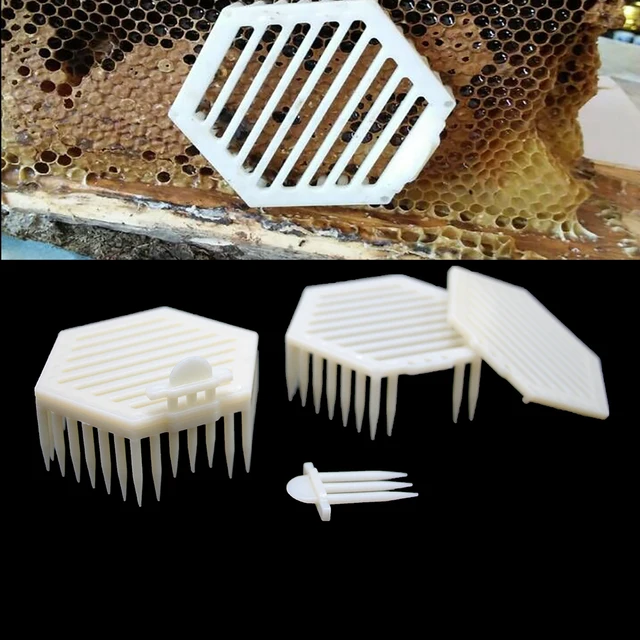 1Pcs Professzionális Bevezetés Új Bee Queen Tcage Tools King Cages Kit Hatszögletű Műanyag Doboz Méhészcellák Tenyésztési Készletei - Image 3