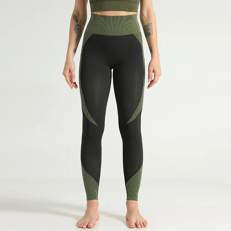 13353070193_1264831506