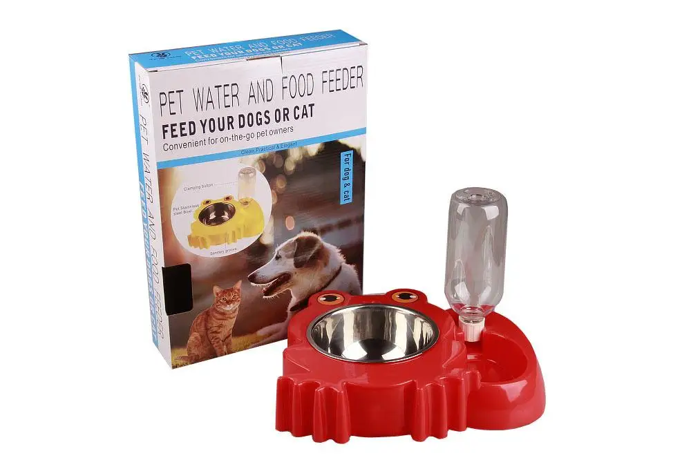 Squirrel frog cartoon dog drinking bowl (22)