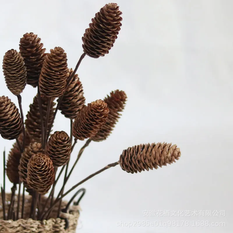 

[Spruce Single Stem] Native Natural Drying Long And Loose Fruit Art Dried Flower Spruce Pine Cones Filming Props Pinecone