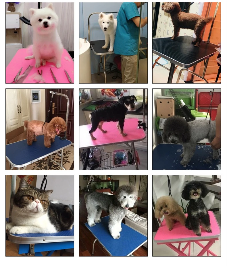 O1CN01OqEFKH2GG60jR1GRA_!!2961118987_副本