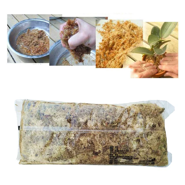 6L Száraz Szerves Anyag Terrárium Sphagnum Moha Orchideák Segítetlen Tenyésztés - Image 3