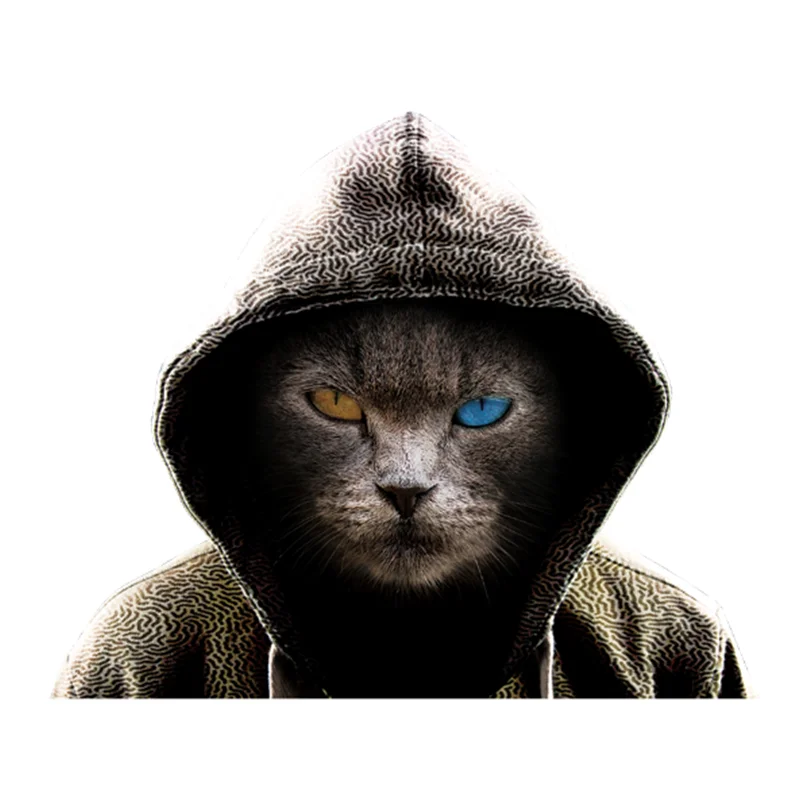 Патчи для одежды крутые патчи с рисунком кошки термотрансферные наклейки модные