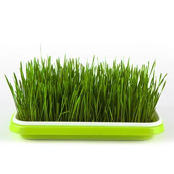 

2pcs Seed Sprouting Set Soil-Free Sprouter Tray with Lid Hydroponics Germination Tray for Wheatgrass Soybean Mung