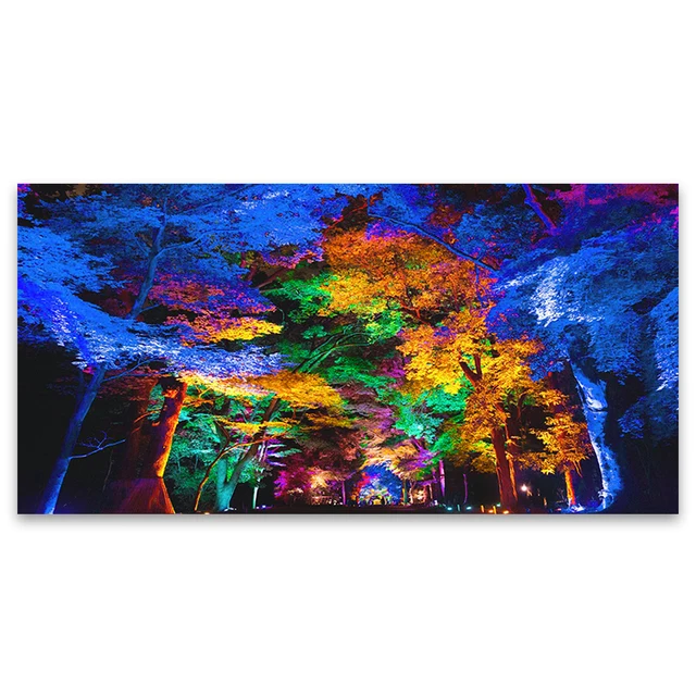 DDHH Wall Art Large Size Colorful Forest Trees Canvas Poster Art Prints Modern For Living Room Home Decorative Picture QK8172-C